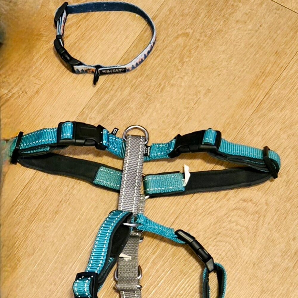 Dog Bundle, Size Small, (Wolfgang Collar, Petsafe 3 in 1 Harness)